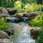 Consejos de fotografía para capturar la esencia de un santuario natural